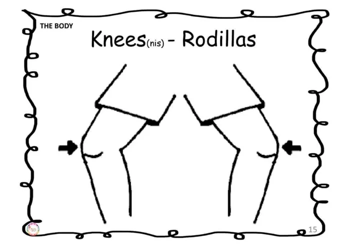 fichas_de_ingles_español_actividades_gratis